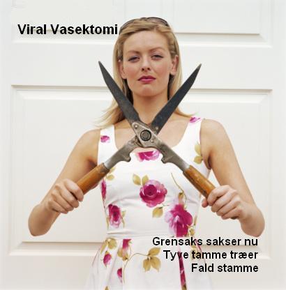 Viral Vasektomi